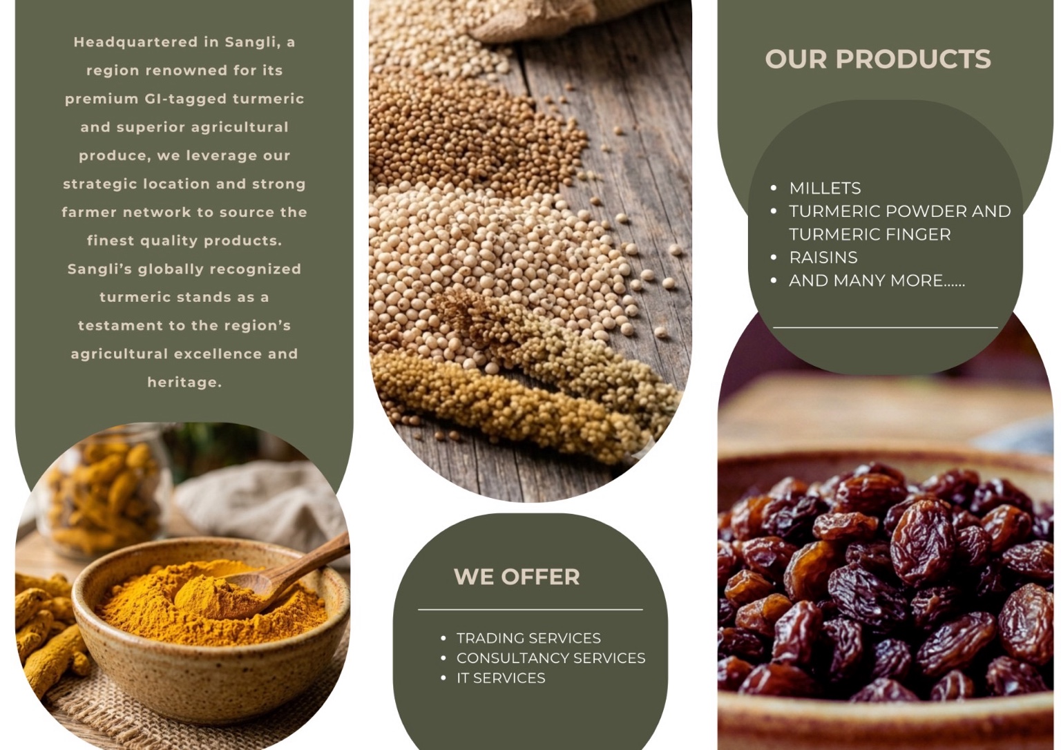 Bhide Imex agricultural brochure visual